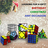 8 Pack Rubix Cube Set3D Puzzle 2x2 + 3x3 + 4x4 + Pyraminx + Megaminx + Mirror + Skewb + Fenghuolun Speed Cube Magic Toys for Kids & Adults